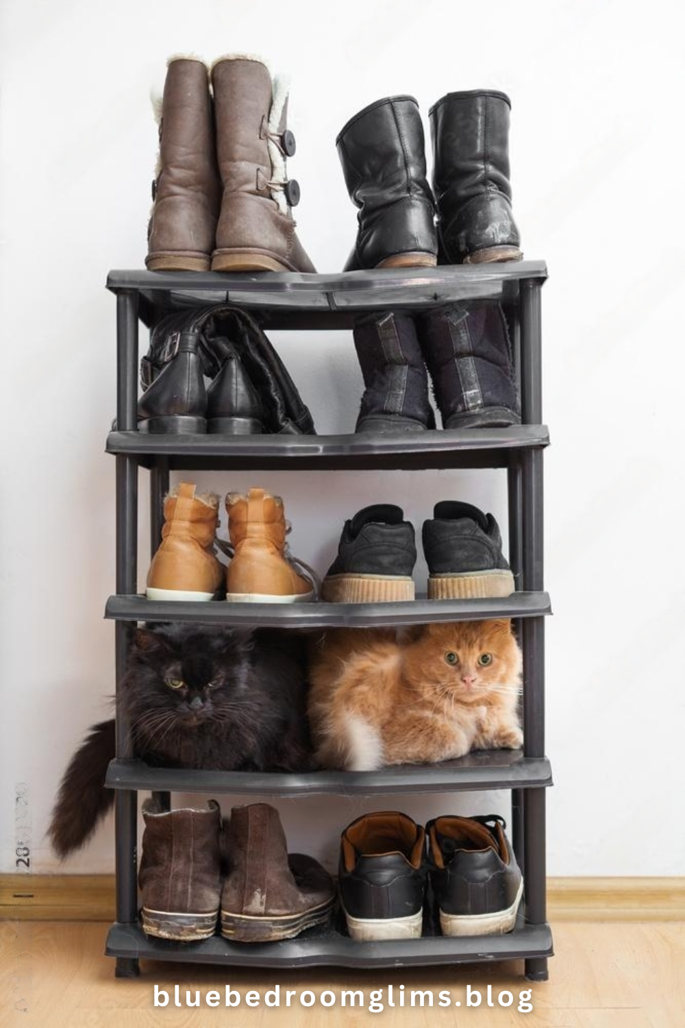 diy shoe rack